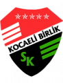 Kocaeli Birlikspor