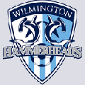 Wilmington Hammerheads