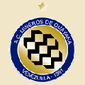 Mineros de Guayana