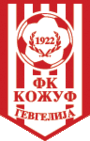 FK Bashkimi Kumanovo