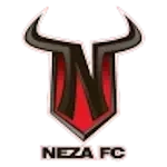 Toros Neza UTN