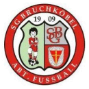 FC 1906 Erlensee