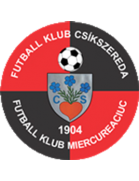 logo-team