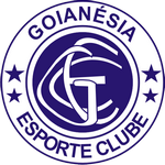 logo-team