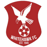 logo-team