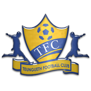 logo-team