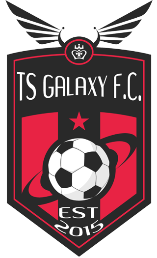 logo-team