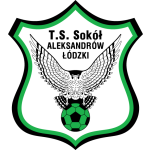 logo-team