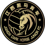 Wenzhou Professional FC