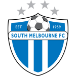 logo-team