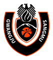 logo-team