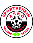 logo-team