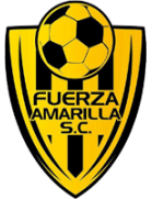 Fuerza Amarilla