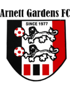 logo-team