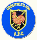 Croesyceiliog AFC vs Ynysygerwn