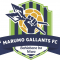Marumo Gallants FC vs Santos