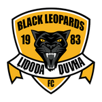 Black Leopards vs All Stars