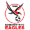 Edgeworth Eagles vs Maitland