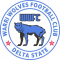 Warri Wolves vs Giwa