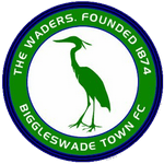 North Leigh vs Biggleswade Town