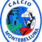 Delta Calcio Rovigo vs Montebelluna