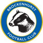 Brockenhurst vs Fleet Town