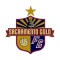 Sacramento Gold vs San Ramon