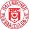 Hallescher FC vs Ulm