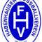 VfL Bremen vs Habenhauser FV