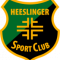 Heeslinger SC vs FT Braunschweig