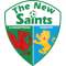 The New Saints vs Llanrwst United