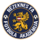 Riga FC II vs Rēzekne / BJSS