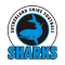 Sutherland Sharks vs Bulls Academy
